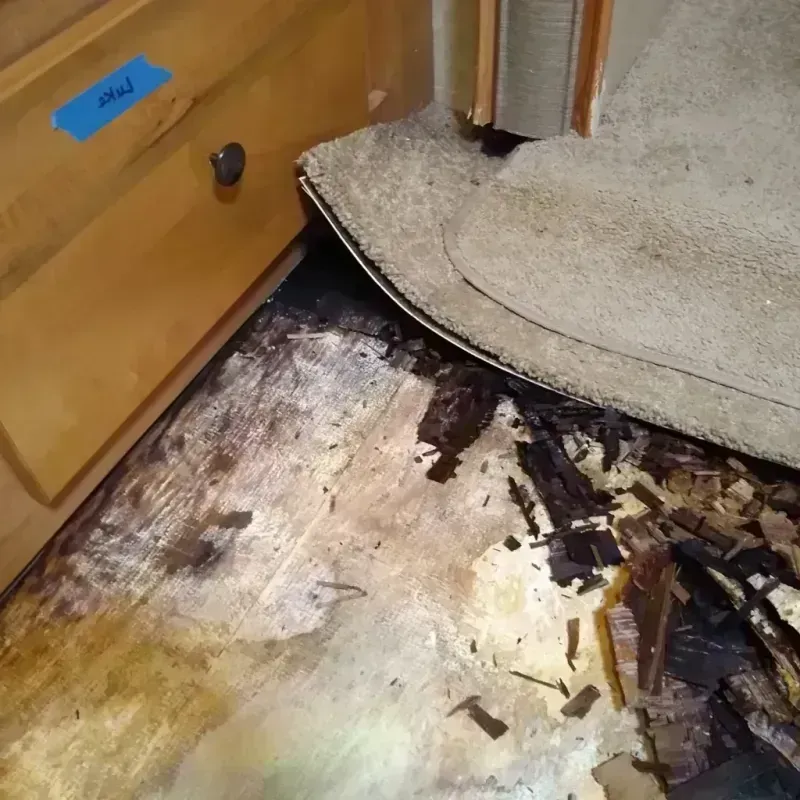 Best Wood Floor Water Damage Service in North Tonawanda, NY